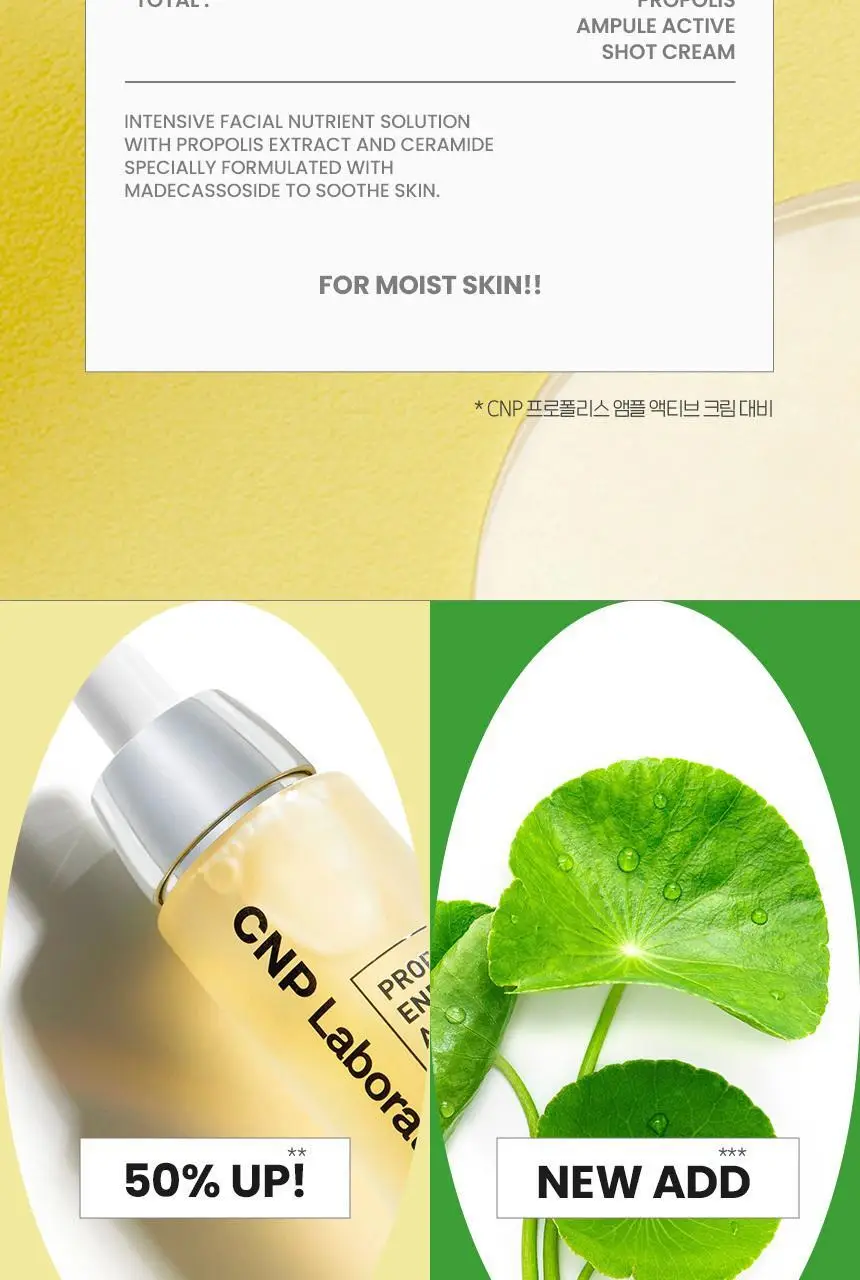 차앤박(CNP) 프로폴리스 앰플 액티브 샷크림 1+1 기획(50ml+50ml) 상세페이지 6