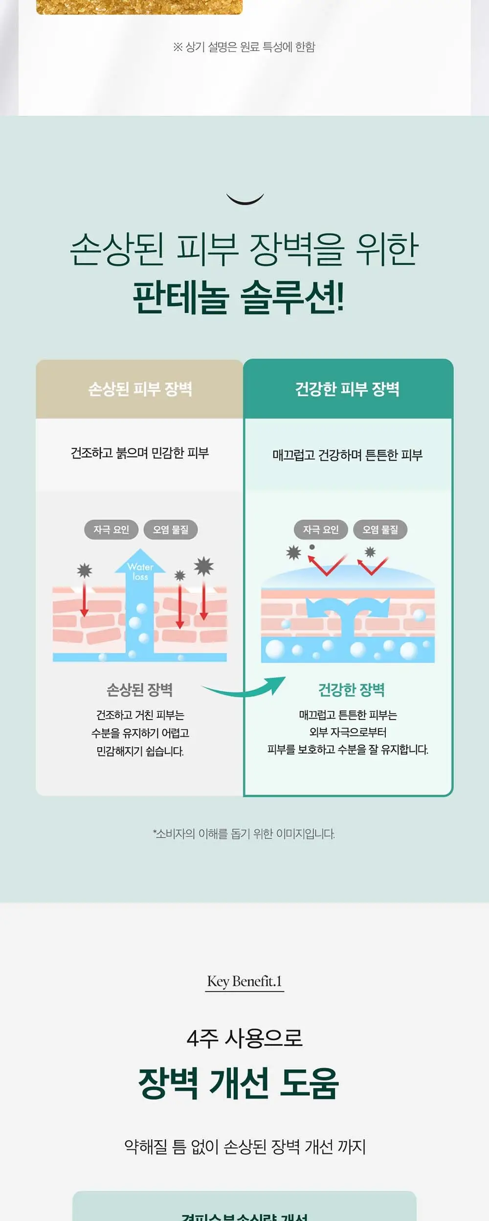 퓨리토 서울 마이티 밤부 판테놀 크림 100ml 듀오 기획 (+15ml) 상세페이지 4