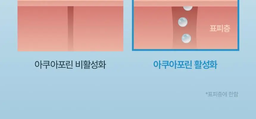 퓨어그램 속건조필수템 저분자 하이드라 히알루론산 크림 120ml 상세페이지 11