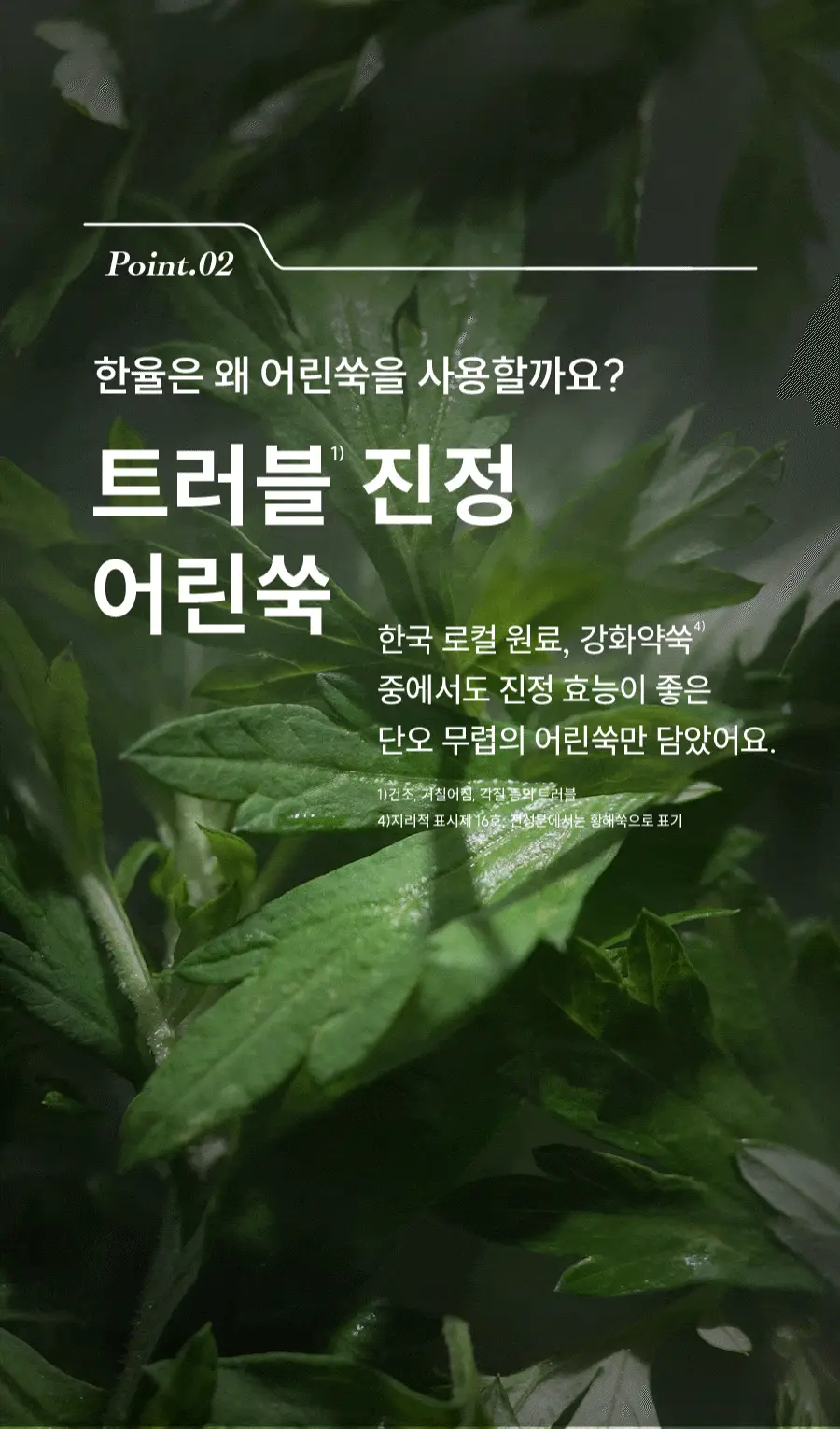 한율 어린쑥 수분진정 크림 55ml 기획 (+25ml+랩핑시트팩 1매) 상세페이지 30