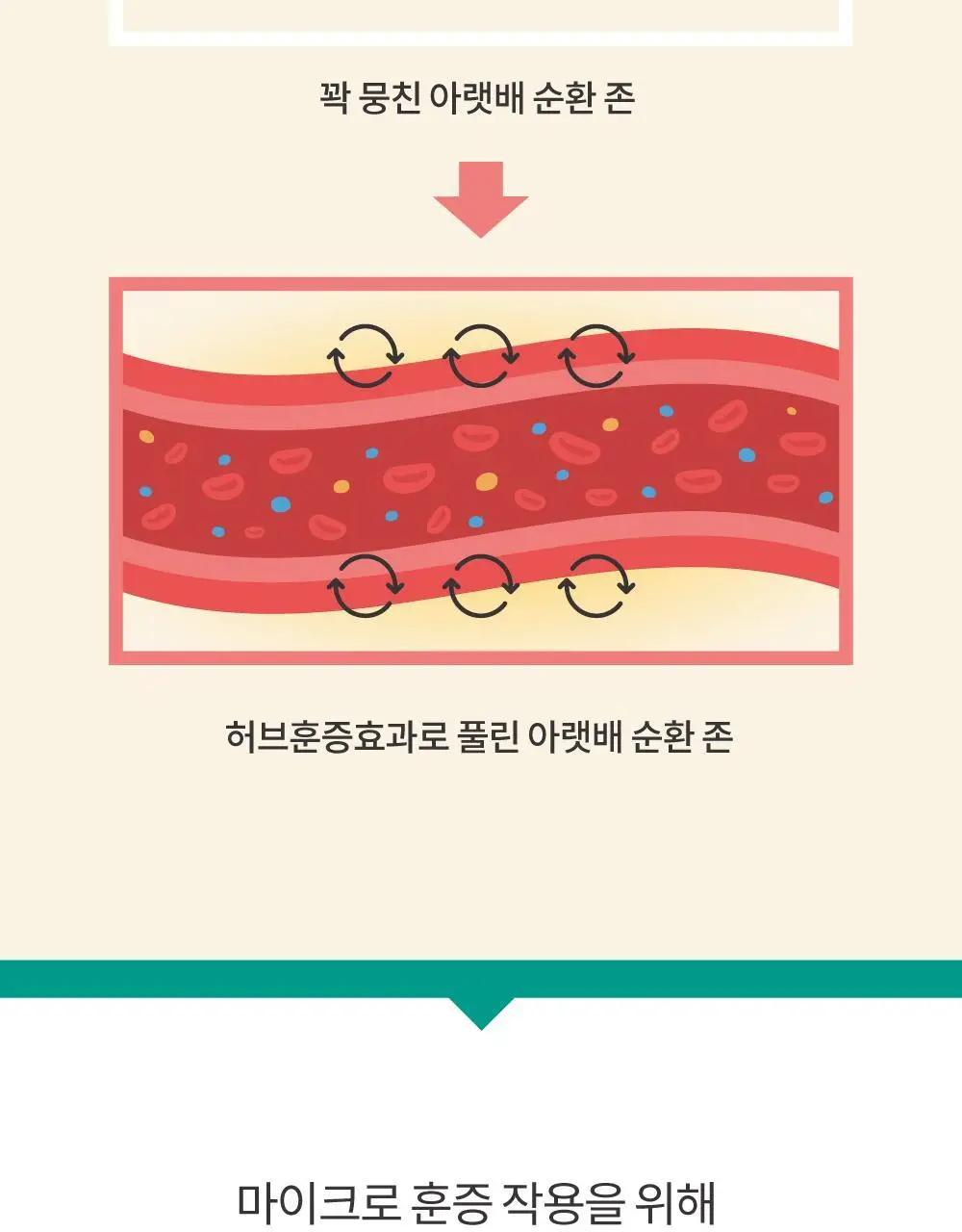 더 넓어진 허브온팩 30매입 대용량 상세페이지 11