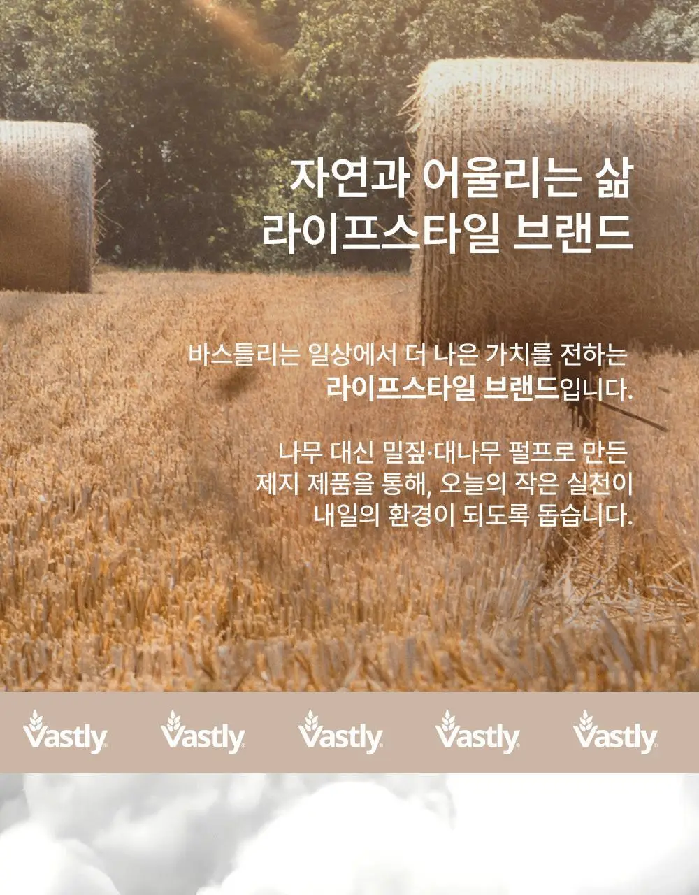 바스틀리 대나무 내추럴 4겹 토일렛 티슈 12롤 상세페이지 5