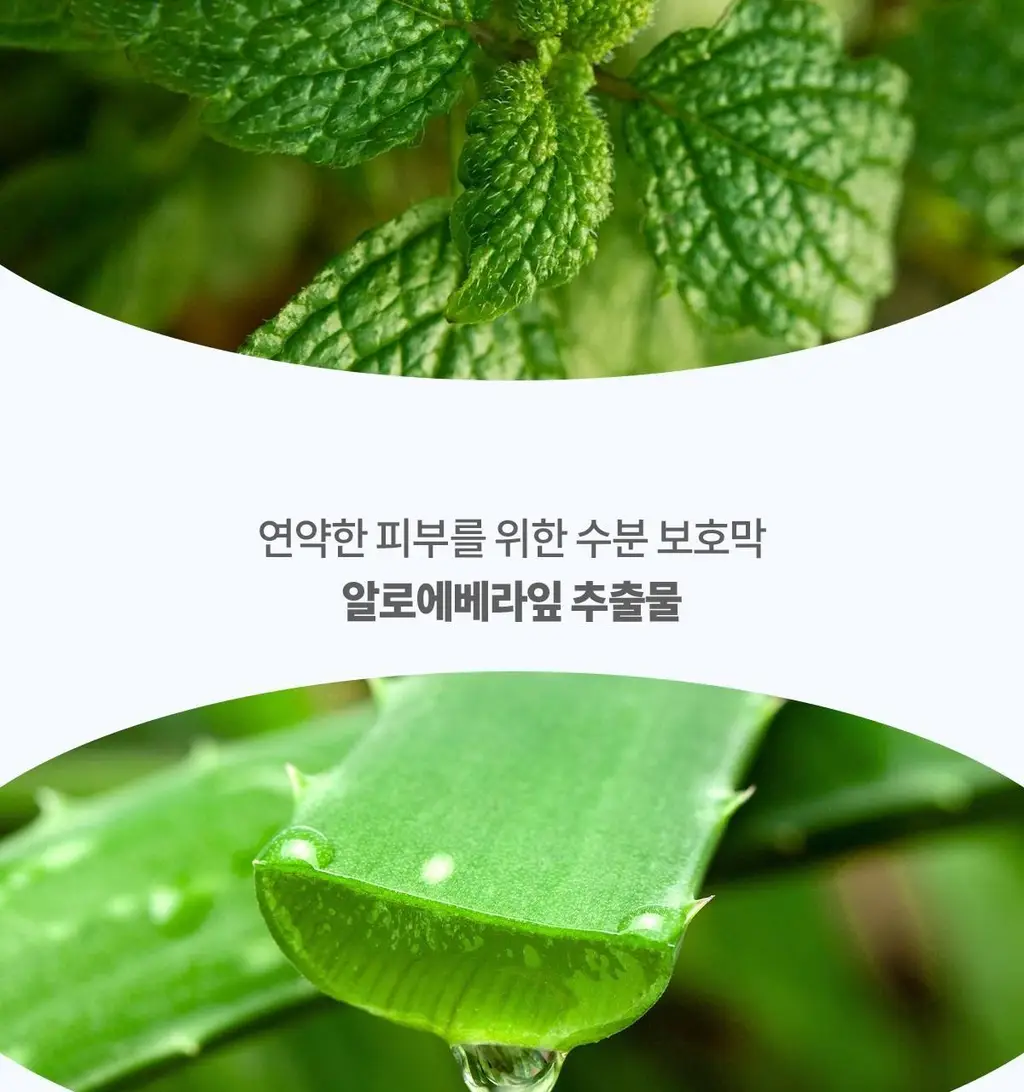 깨끗한나라 페퍼민트 엠보싱 물티슈 캡형 70매 상세페이지 8
