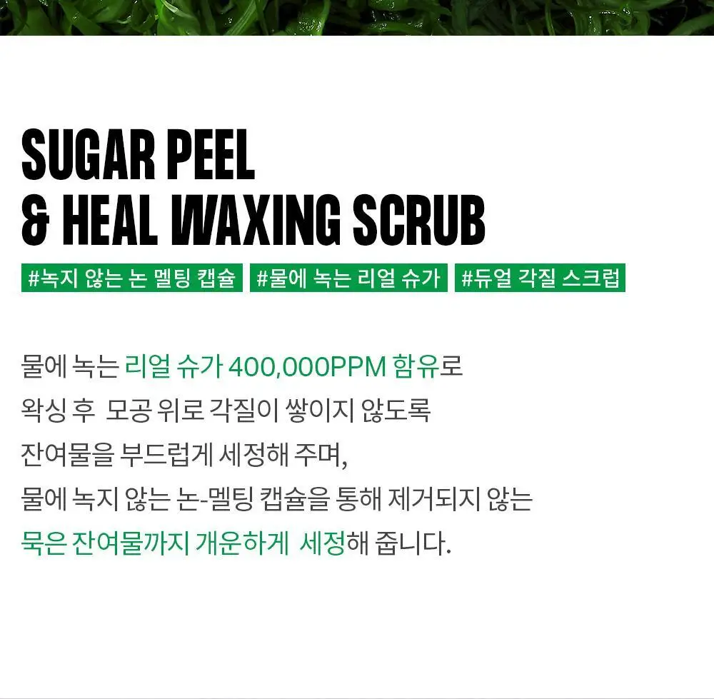 노우라이 슈가 필 앤드 힐 왁싱 스크럽 200g 1+1기획(2407) 상세페이지 6