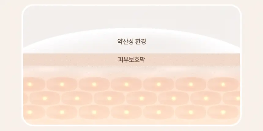 디어스킨 락토 페미닌 워시/티슈 2종 택1 상세페이지 5