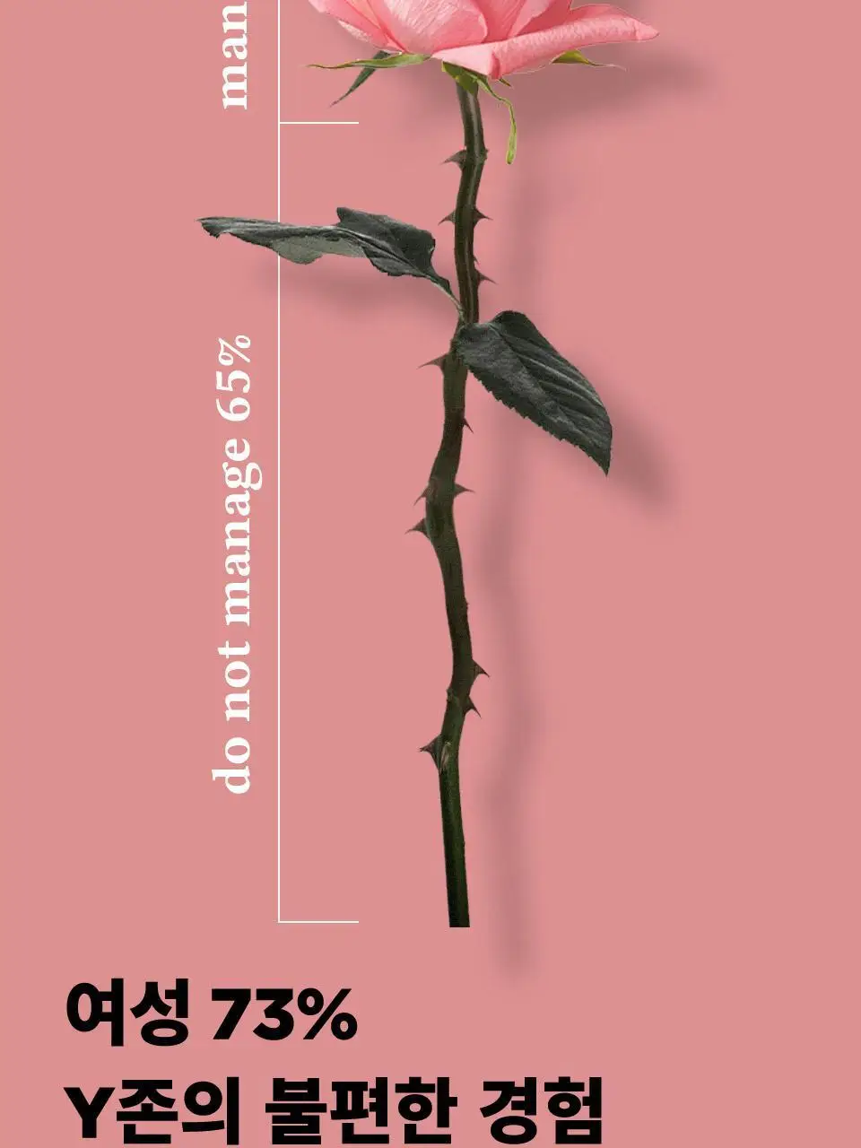 마녀공장 페미닌폼 150ml (여성 청결제) 상세페이지 6