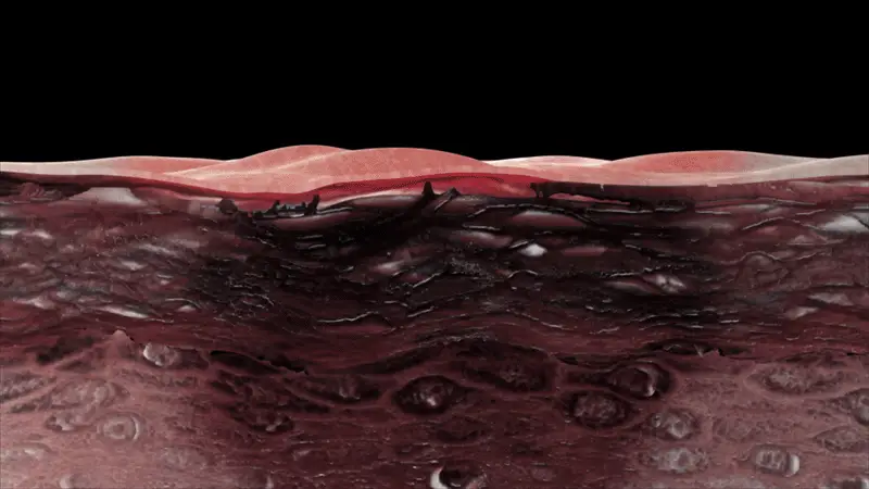 메디온 락토리메디 레이디스 카밍크림 15ml 상세페이지 9
