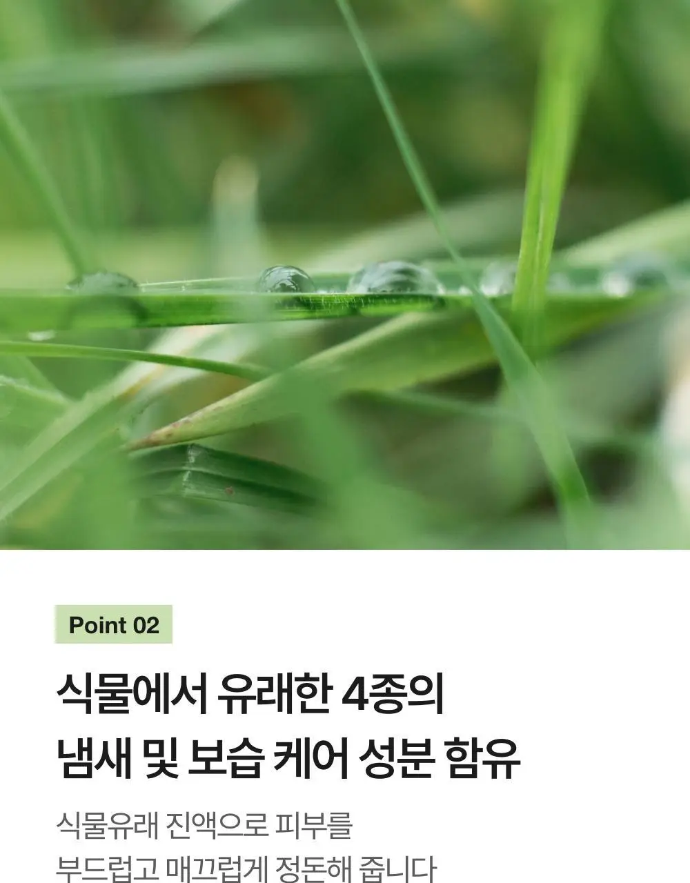 이로하 인티메이트 워시 폼타입 3종 택 1 상세페이지 13