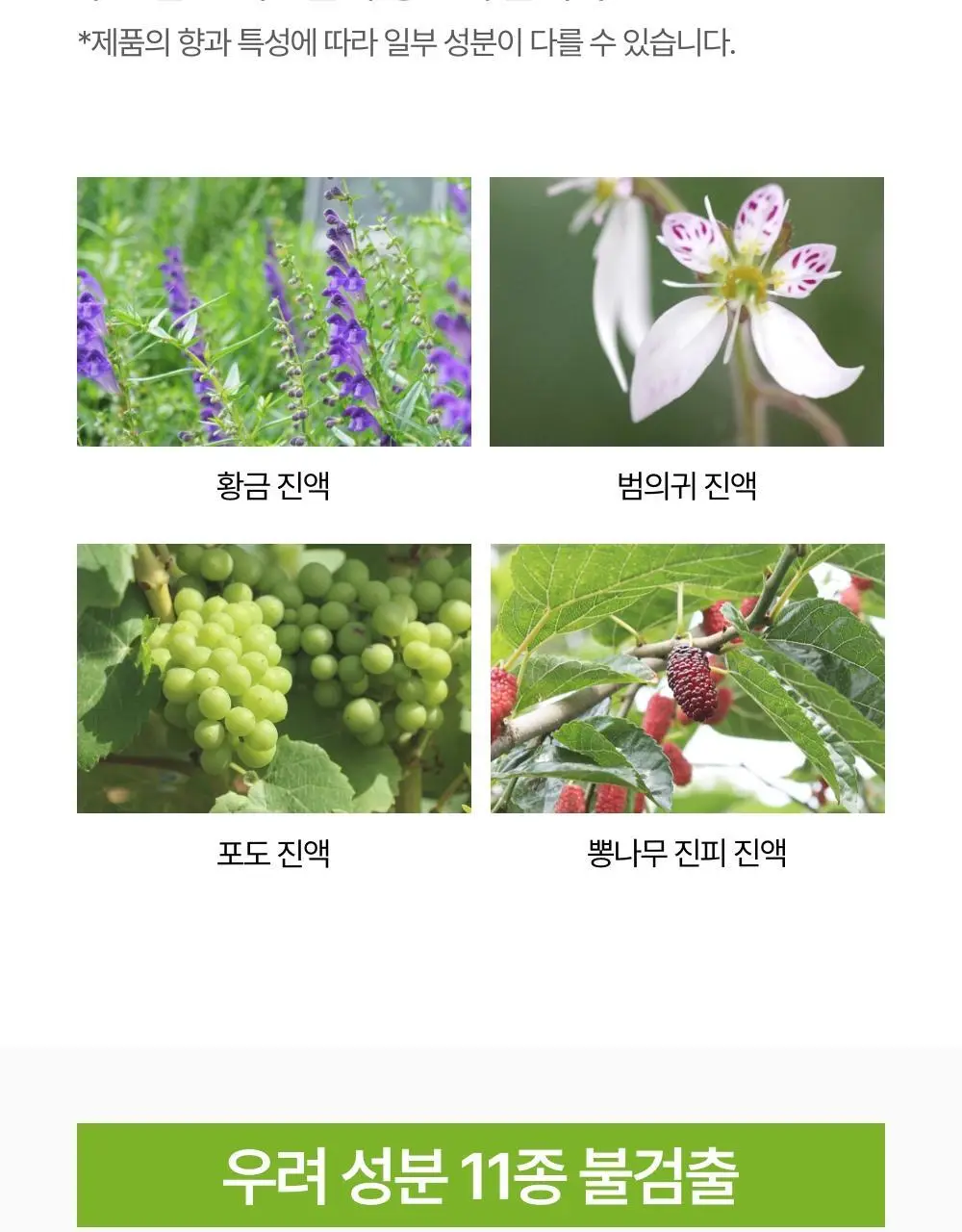 이로하 인티메이트 워시 폼타입 3종 택 1 상세페이지 14