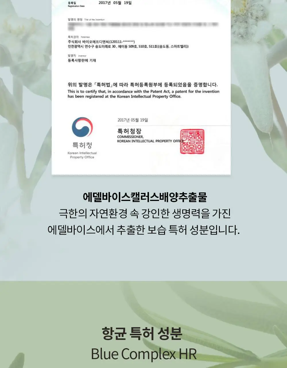 나이틀리나이트 나이트퍼퓸 30ml 2종 택 1 (벨에포크/템테이션) 상세페이지 19