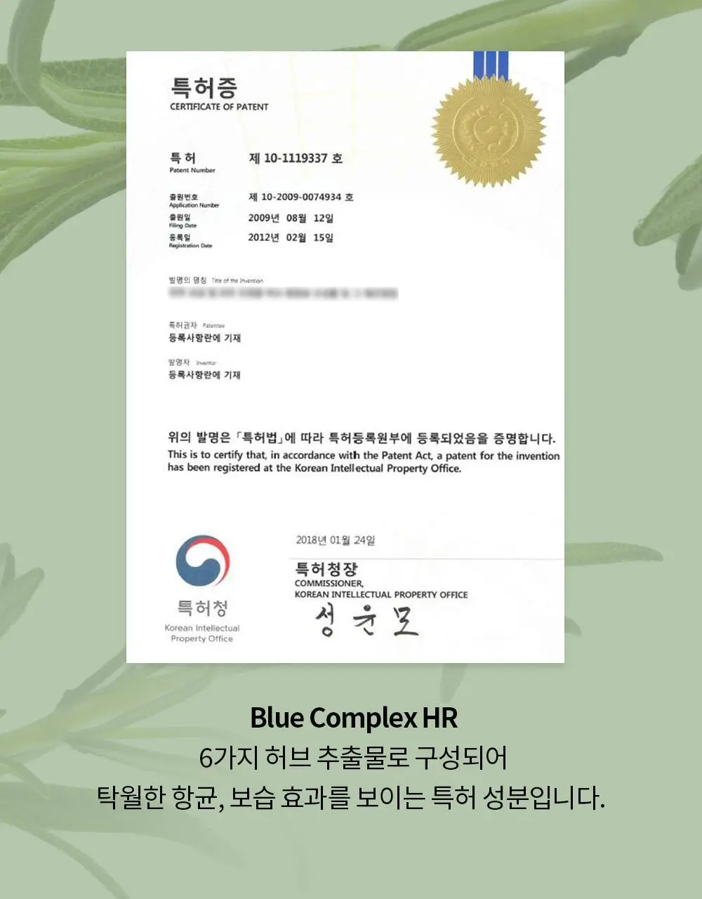 나이틀리나이트 나이트퍼퓸 30ml 2종 택 1 (벨에포크/템테이션) 상세페이지 20