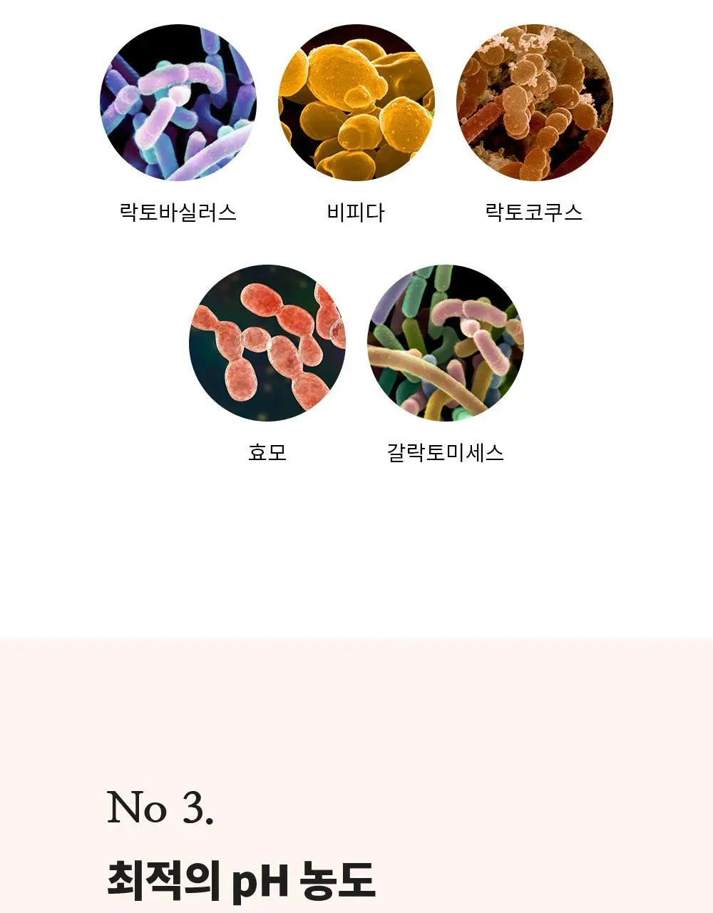 나이틀리나이트 나이트퍼퓸 30ml 2종 택 1 (벨에포크/템테이션) 상세페이지 23