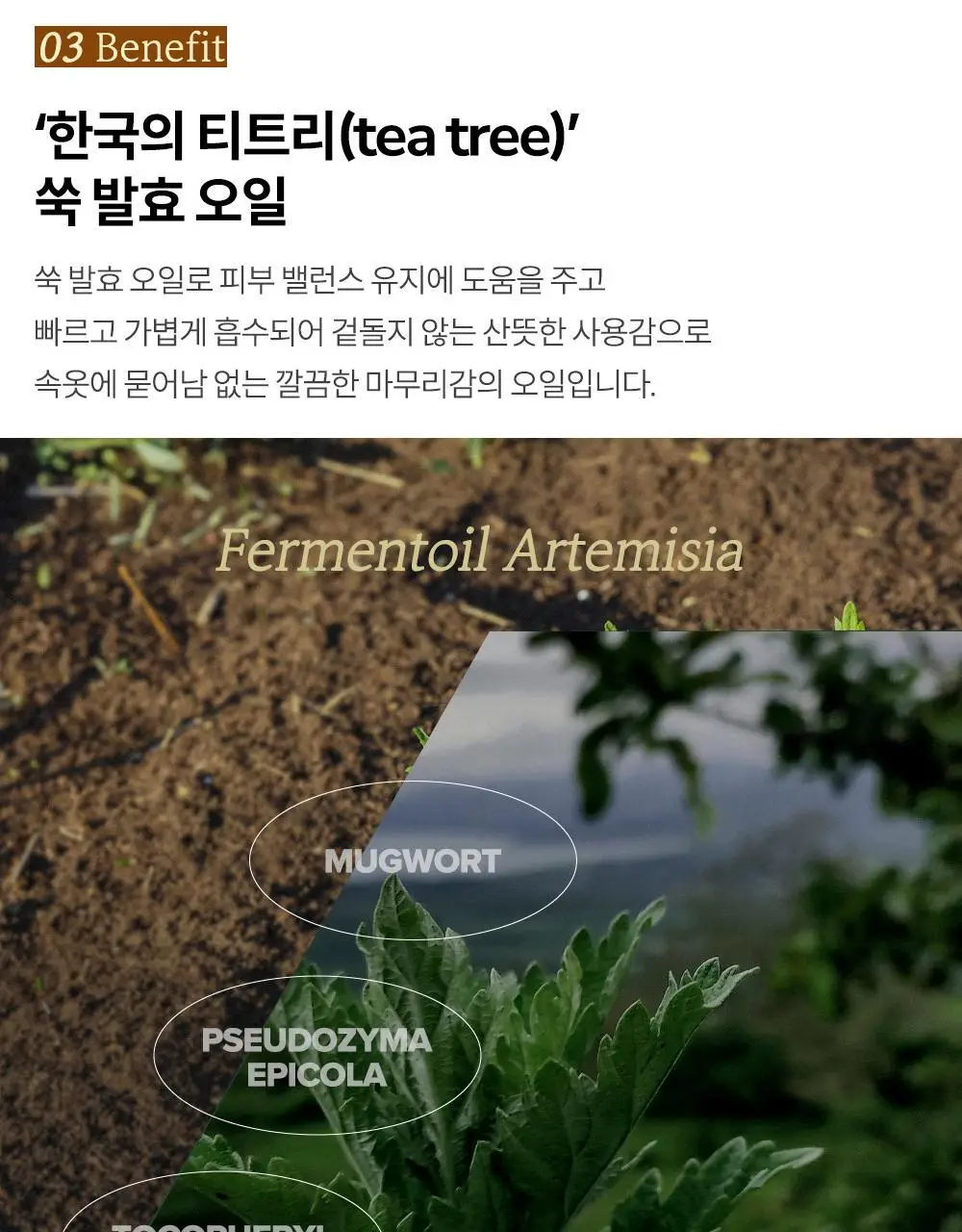 이너감 비건 라이트업 오일 40ml 상세페이지 11