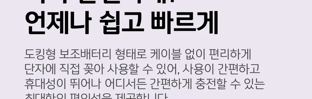 BNS) 도킹 보조배터리 3000mAh 상세페이지 43