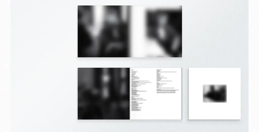 방탄소년단 (BTS) ARIRANG (Deluxe Vinyl) 상세페이지 11