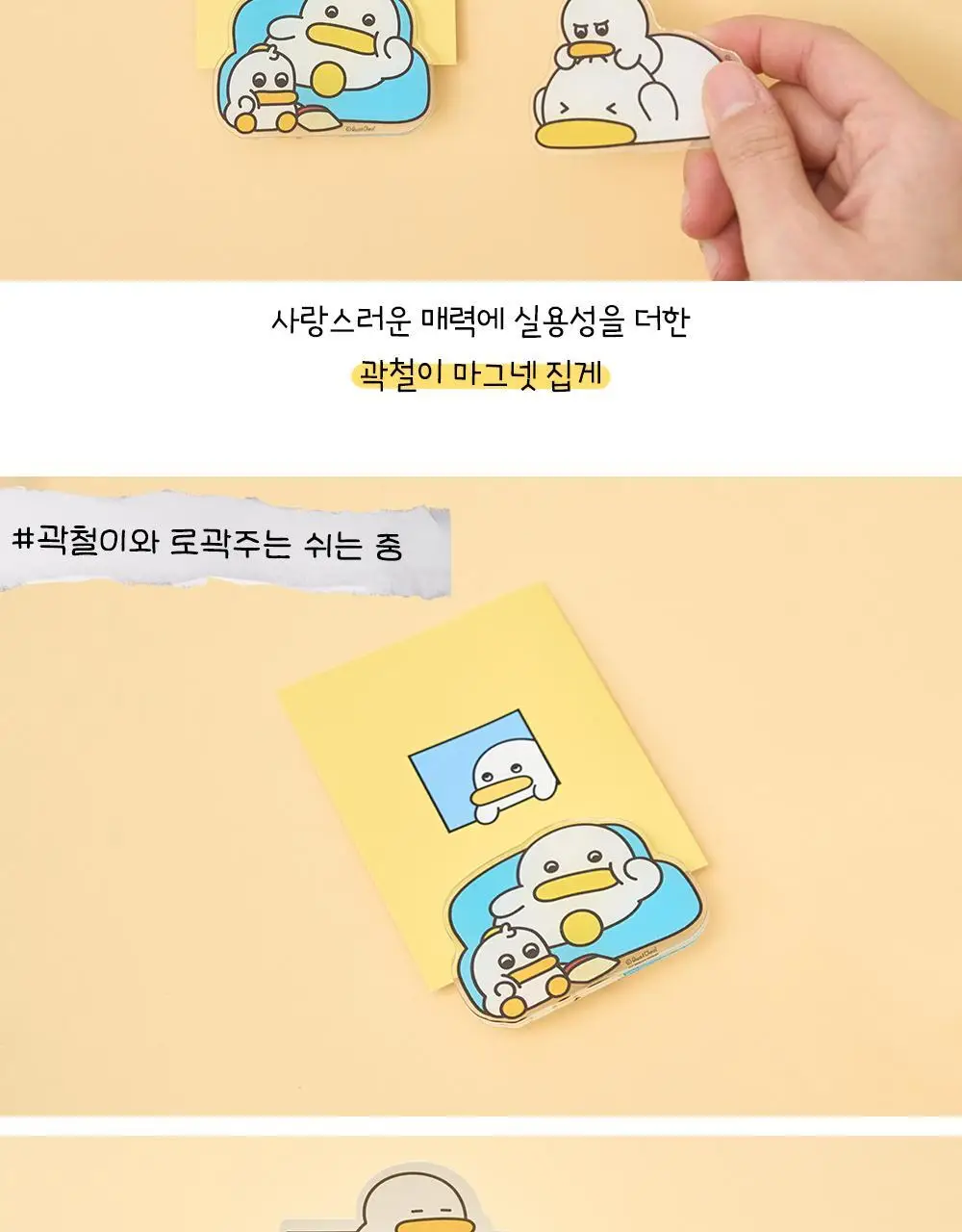 콜리 곽철이 마그넷 집게 3종 상세페이지 3