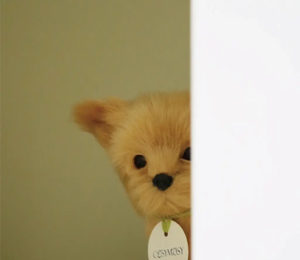 코지모지 리얼 퍼피 강아지 인형 Real Puppy 3종 택1 상세페이지 14