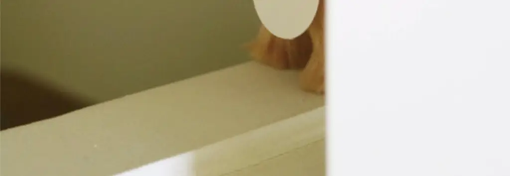 코지모지 리얼 퍼피 강아지 인형 Real Puppy 3종 택1 상세페이지 15