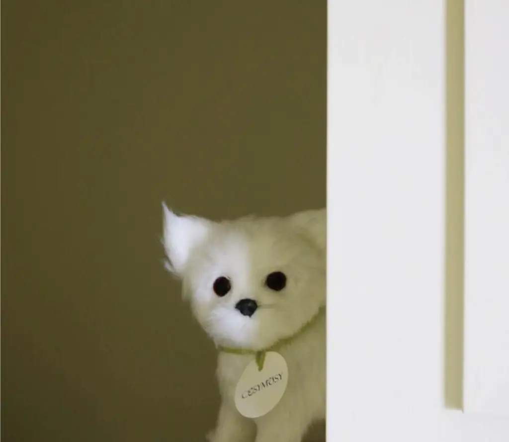 코지모지 리얼 퍼피 강아지 인형 Real Puppy 3종 택1 상세페이지 18