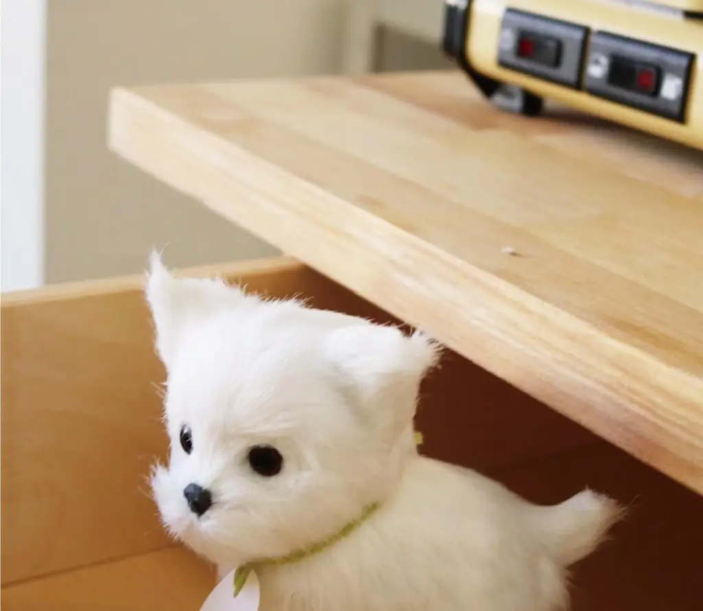 코지모지 리얼 퍼피 강아지 인형 Real Puppy 3종 택1 상세페이지 21