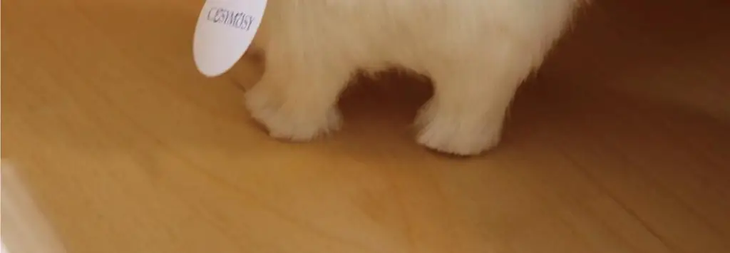 코지모지 리얼 퍼피 강아지 인형 Real Puppy 3종 택1 상세페이지 22