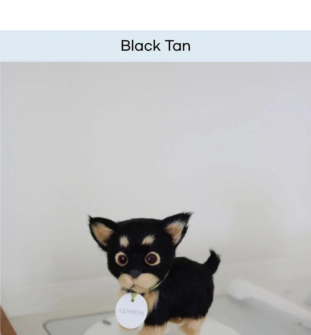 코지모지 리얼 퍼피 강아지 인형 Real Puppy 3종 택1 상세페이지 23