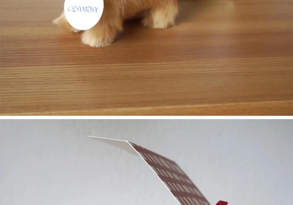 코지모지 리얼 퍼피 강아지 인형 Real Puppy 3종 택1 상세페이지 37