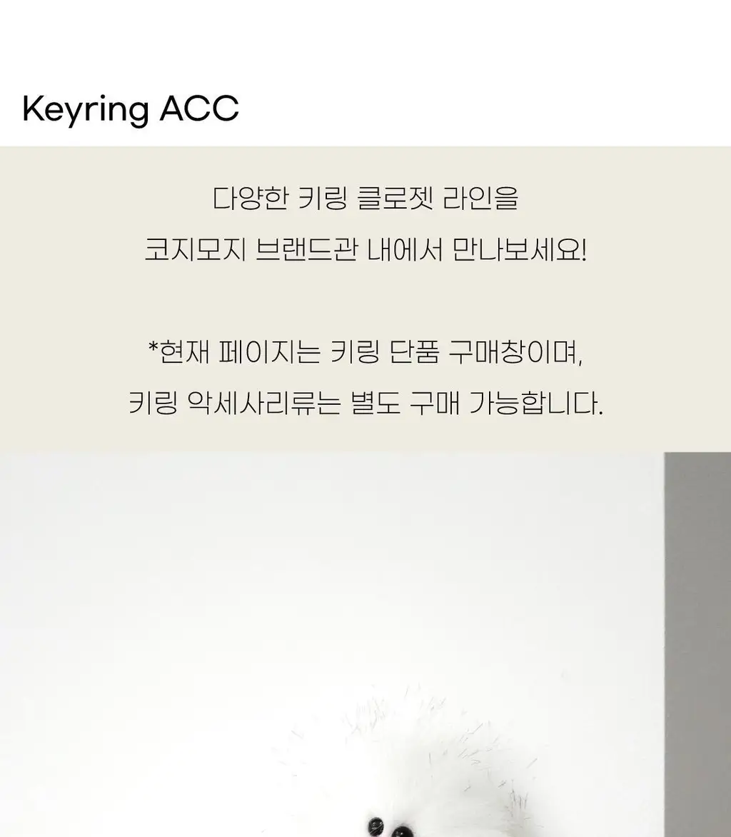 코지모지 어글리버드 키링 5종 택1 상세페이지 99