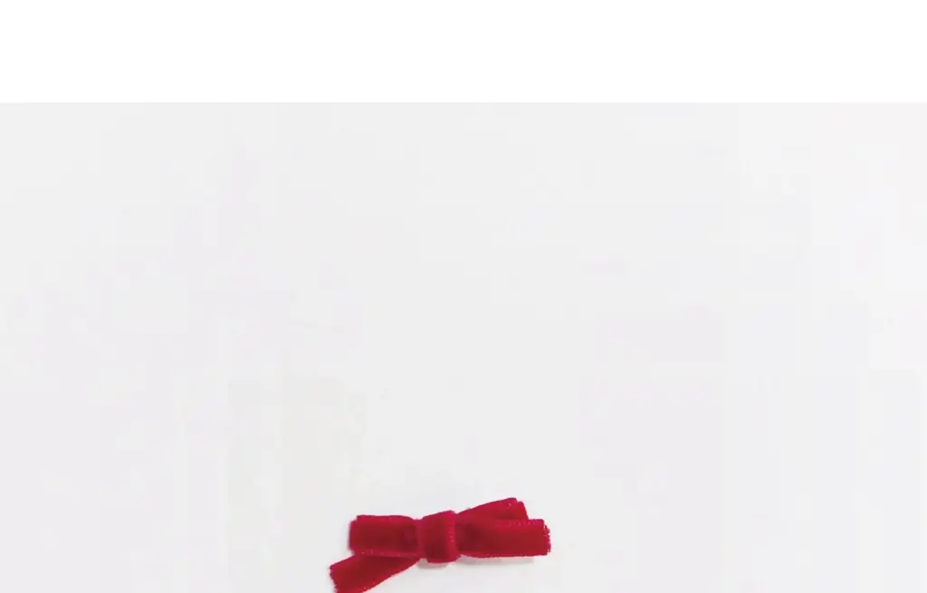 코지모지 키링 액세서리 벨벳 리본핀 3종 택1 상세페이지 2