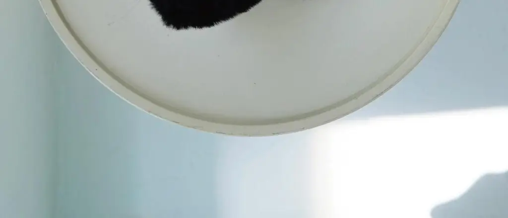 코지모지 키링 액세서리 펌킨 팬츠 4종 택1 상세페이지 40