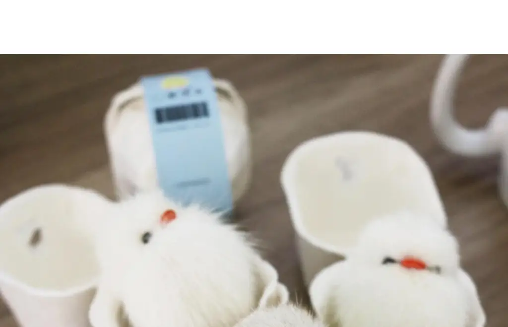 코지모지 Baby Bird 뱁새 키링 2종 택1 상세페이지 2