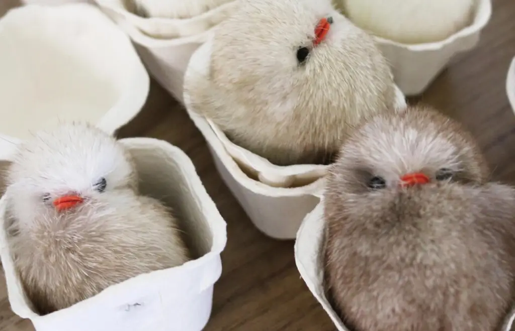 코지모지 Baby Bird 뱁새 키링 2종 택1 상세페이지 3