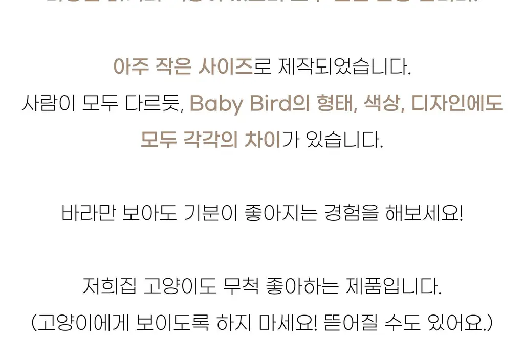 코지모지 Baby Bird 뱁새 키링 2종 택1 상세페이지 6