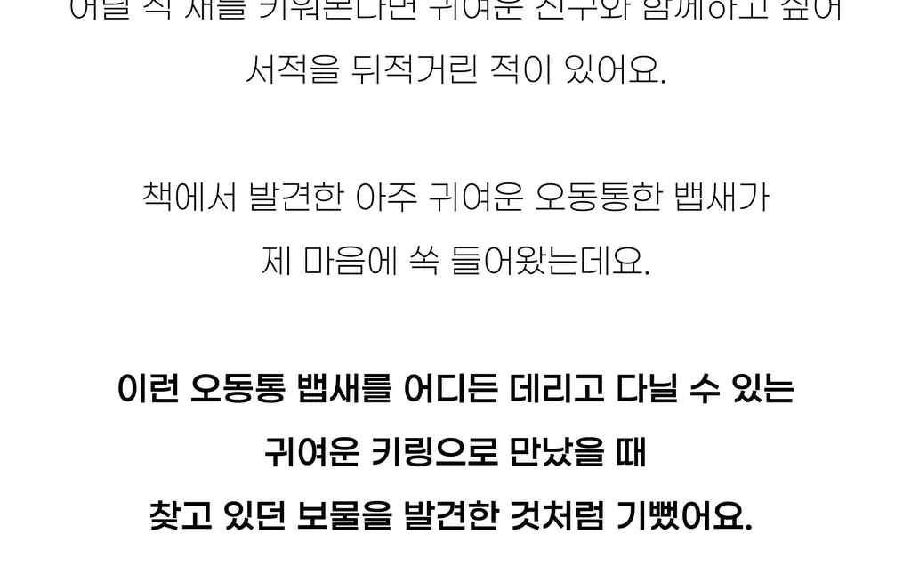 코지모지 Baby Bird 뱁새 키링 2종 택1 상세페이지 11