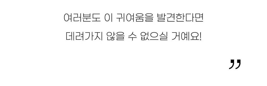 코지모지 Baby Bird 뱁새 키링 2종 택1 상세페이지 12