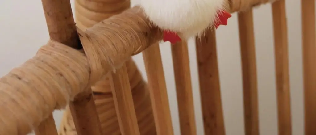 코지모지 Baby Bird 뱁새 키링 2종 택1 상세페이지 19