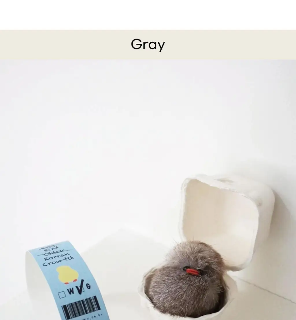 코지모지 Baby Bird 뱁새 키링 2종 택1 상세페이지 20