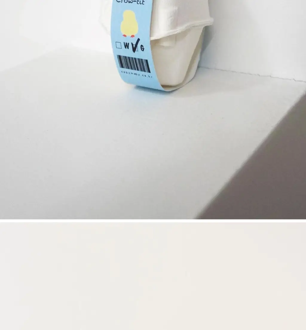 코지모지 Baby Bird 뱁새 키링 2종 택1 상세페이지 22