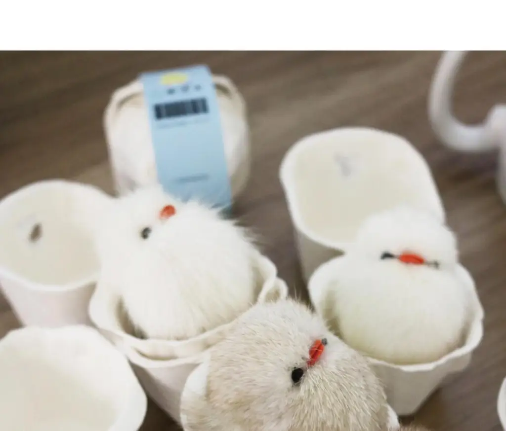 코지모지 Baby Bird 뱁새 키링 2종 택1 상세페이지 27