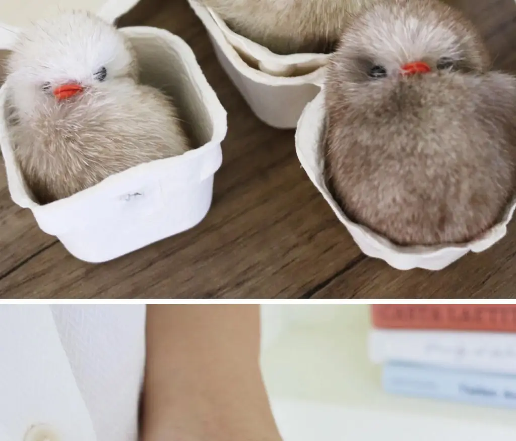 코지모지 Baby Bird 뱁새 키링 2종 택1 상세페이지 28