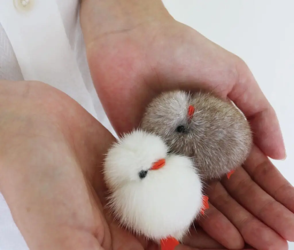 코지모지 Baby Bird 뱁새 키링 2종 택1 상세페이지 29