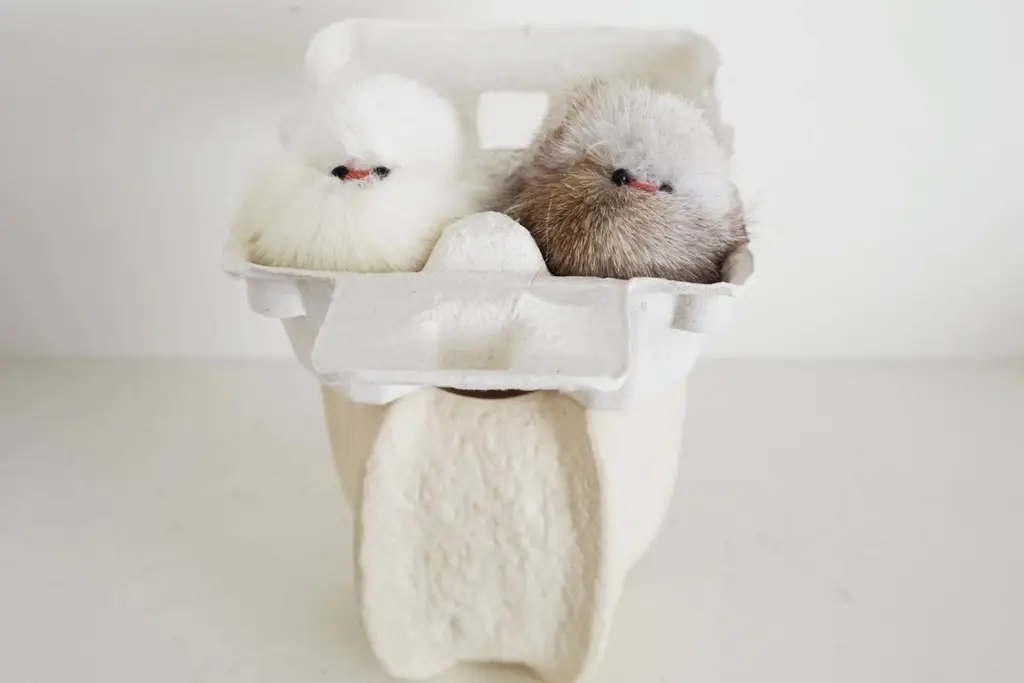 코지모지 Baby Bird 뱁새 키링 2종 택1 상세페이지 42