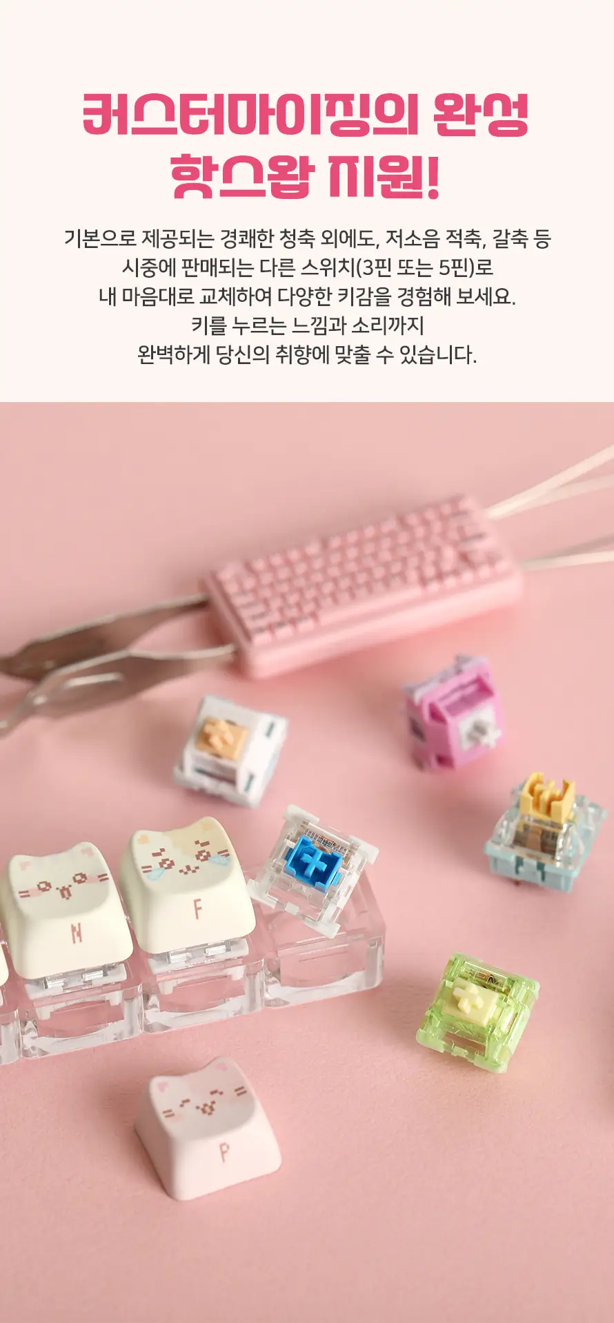 SPM MBTI 고양이 키캡 키링 16종 상세페이지 8