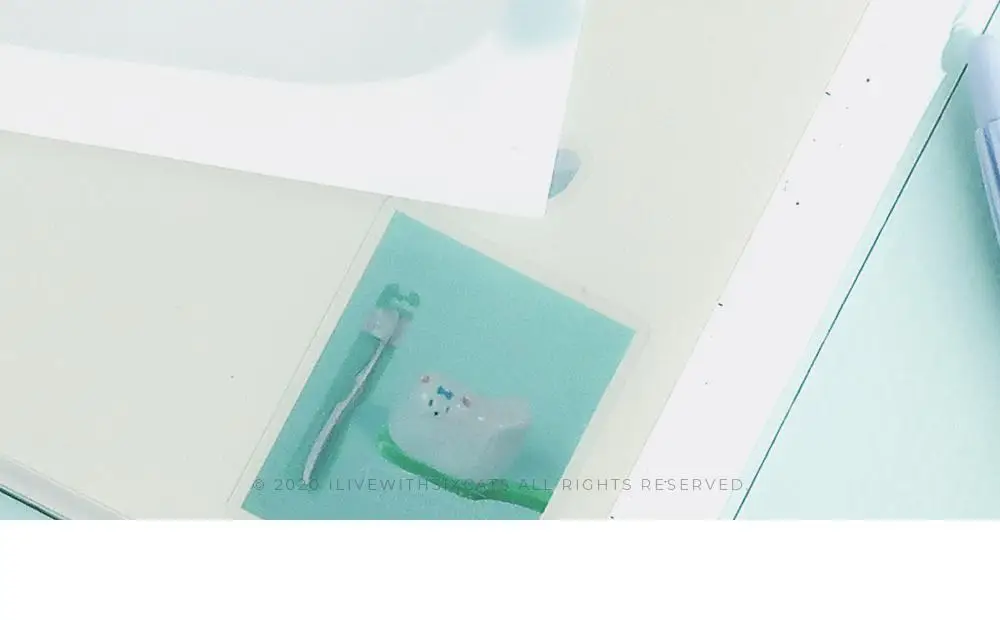아이 리브 위드 식스 캣츠 강아지 칫솔 스티커 상세페이지 7
