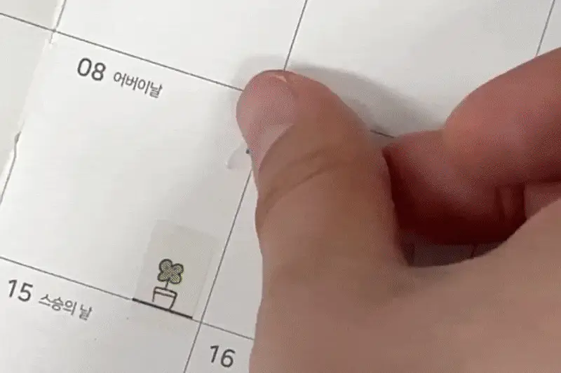 오첵 포근 드로잉 마스킹 테이프 6종 마테 다꾸 폴꾸 상세페이지 2