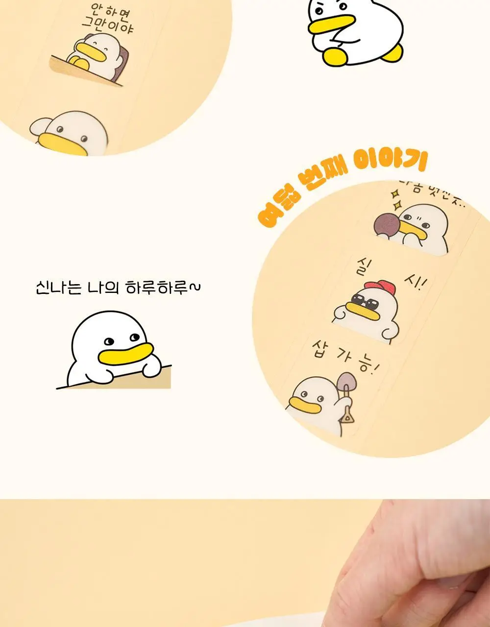 콜리 곽철이 이모티콘 스티커 4종 상세페이지 5