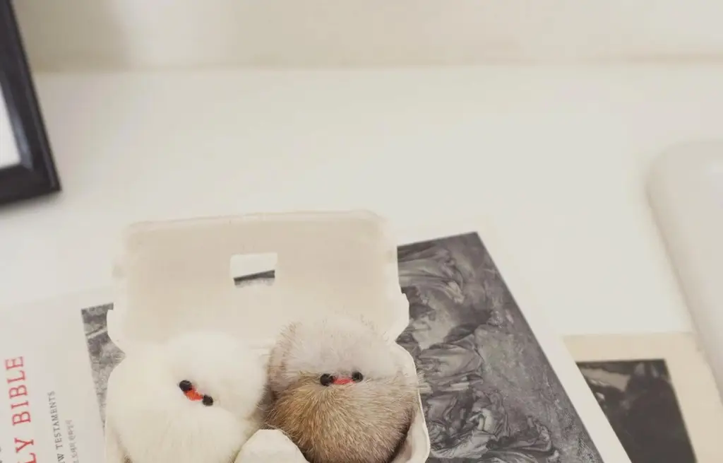 코지모지 뱁새 키링 세트 상세페이지 11