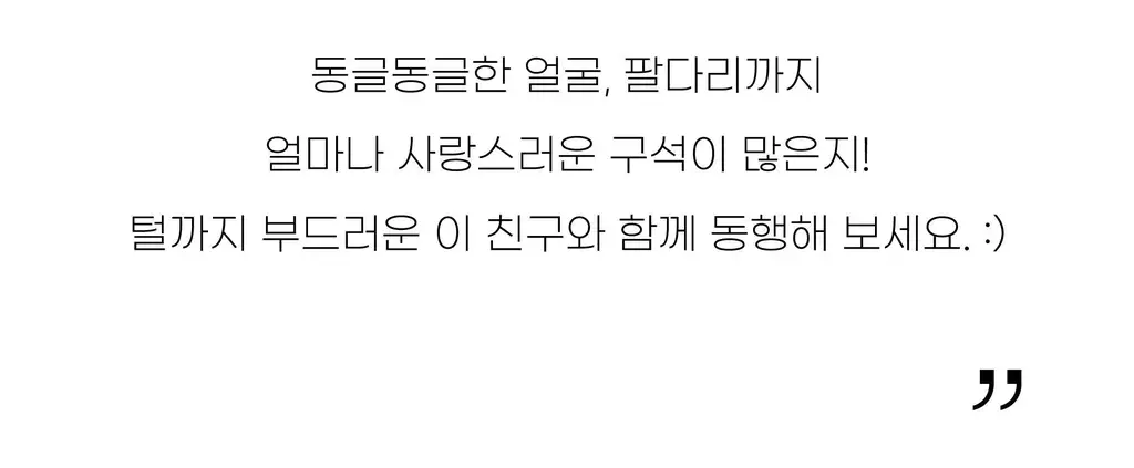 코지모지 푸들 키링 5종 택1 상세페이지 12