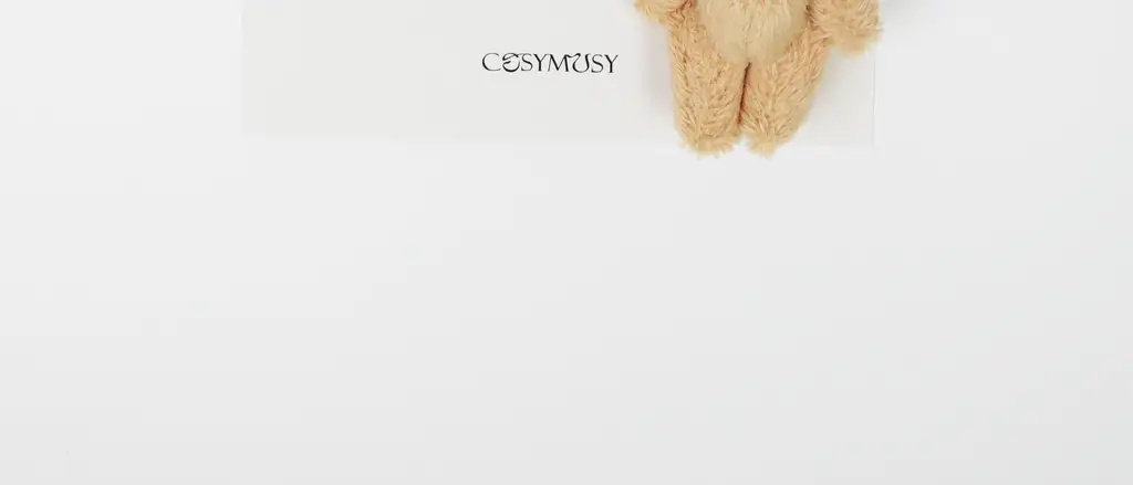 코지모지 Apology 테디베어 키링 엽서 5종 택1 상세페이지 17