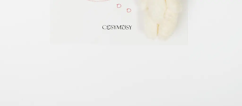 코지모지 Apology 테디베어 키링 엽서 5종 택1 상세페이지 20